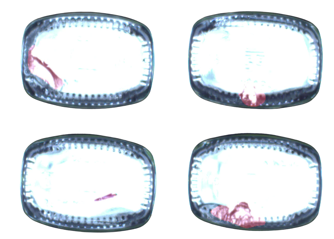 types of glass bottle defects