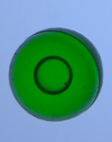 gelatin capsule inspection