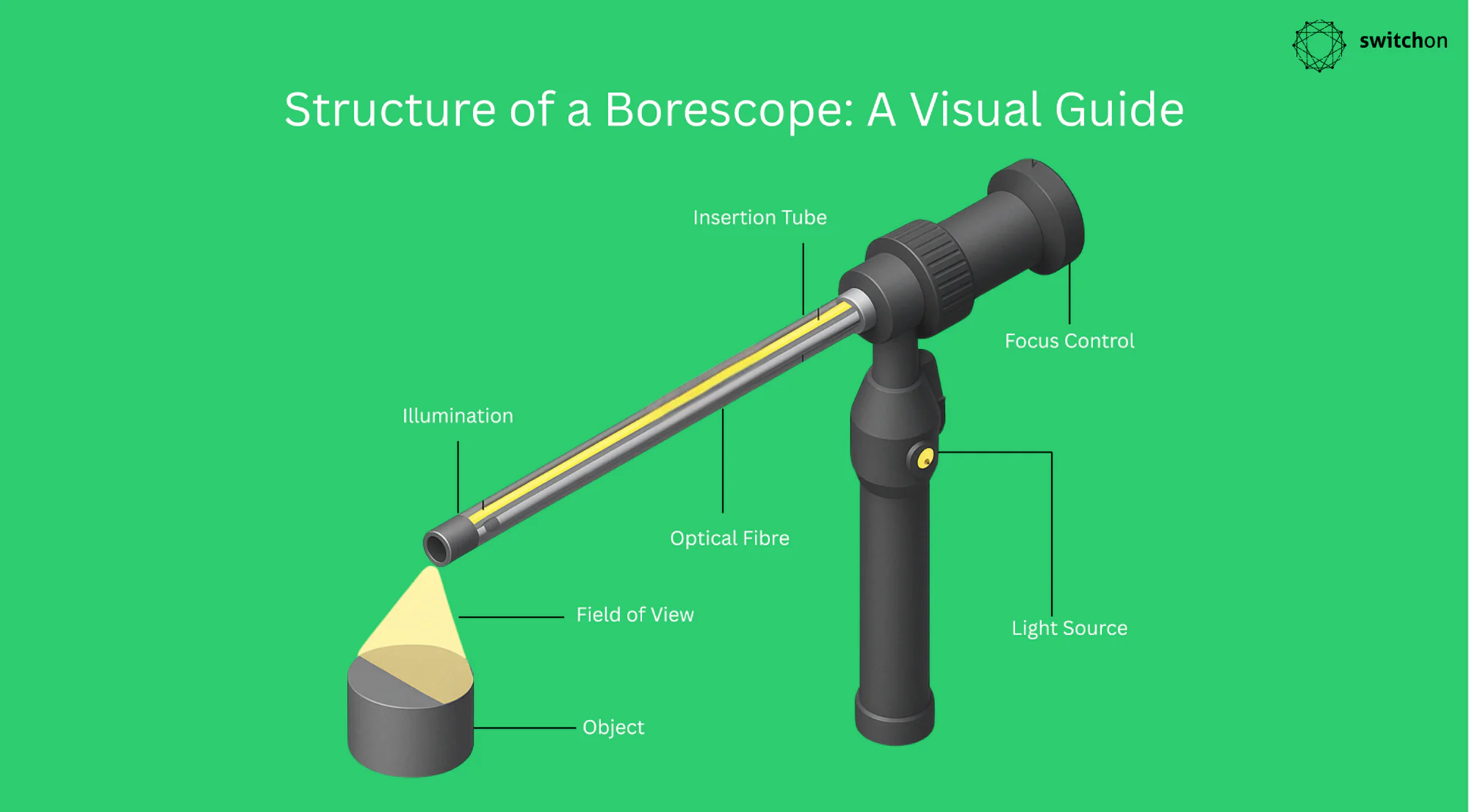 borescope Anatomy