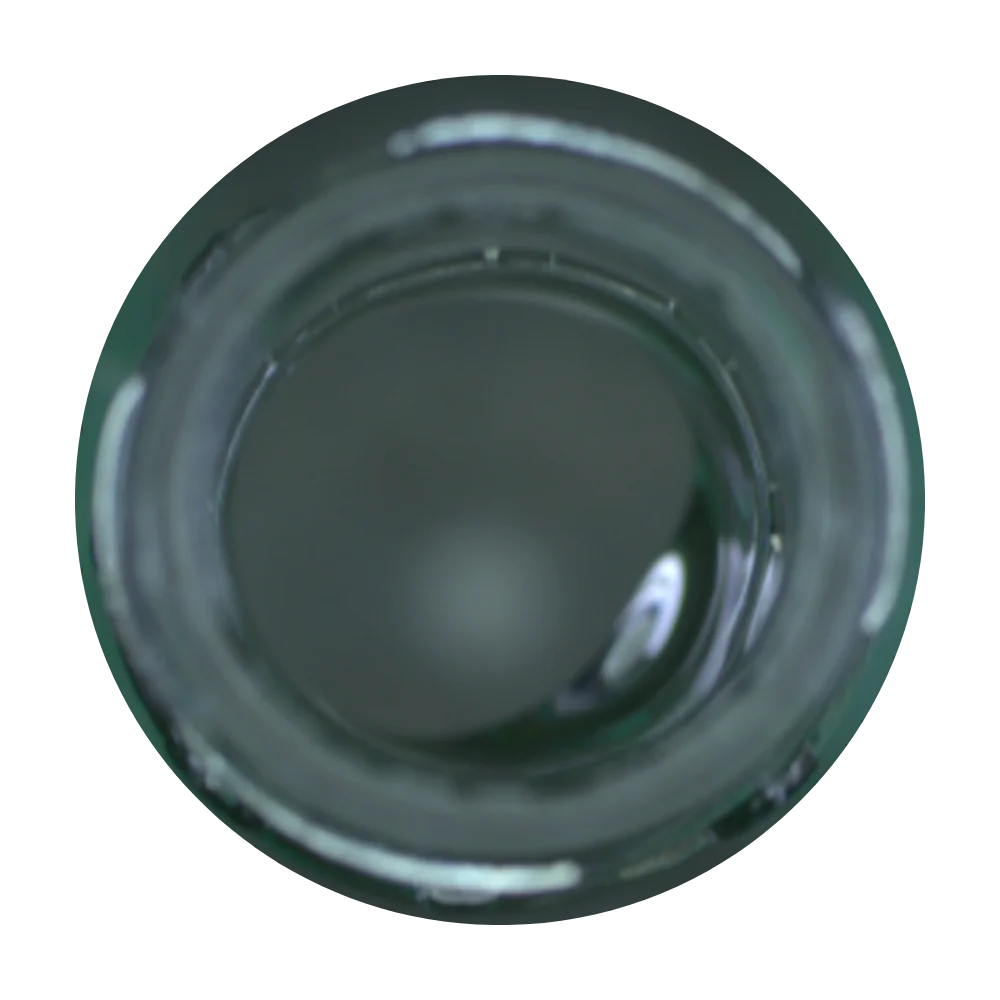 bottle bore inspection